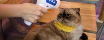 Хроники Covid-19 в Украине: почти 700 новых случаев