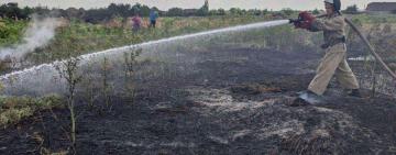 В Килийском районе снова тушили пожар