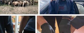 Украсть на 300 тысяч: в Измаильском районе полиция задержала злоумышленника, который похитил животных 