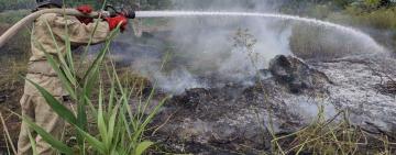 Неосторожное поведение с огнем привело к очередному пожару в Килии 