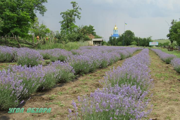 Одесчина: место, где лечишь душу...