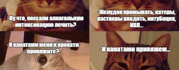 Итоги карантина: рост алкоголизма, «исчезновение  хроников», деморализация медиков. 