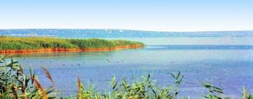 В Болградском районе спасли троих детей, которые не могли выбраться на берег из озера Ялпуг