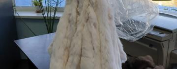 В Одесской области пограничники задержали водителя автобуса Афины-Киев, за попытку нелегально перевезти норковые шкурки