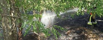 Кілійський район: рятувальники ліквідували пожежу на відкритій території