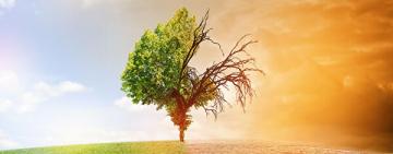 Привет, глобальное потепление!