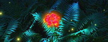 Вода, огонь и травы:  волшебная Купальская ночь!