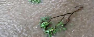 Вчерашняя прохлада.