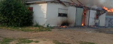 В Одесской области произошёл пожар: погибли 40 свиней