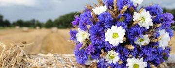 Праздники августа: официальные, профессиональные и необыкновенные