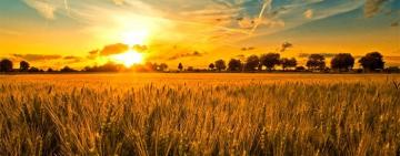 "Выше средних многолетних значений": прогноз погоды на август