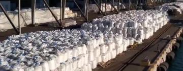 Аммиачная селитра в порту в Одесской области: в АМПУ опровергли информацию о ее взрывоопасности