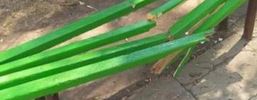 28-летний житель Арциза "сорвал гнев" на шести скамейках в парковой зоне