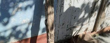 Забил палкой до смерти: в Тарутинском районе задержали подозреваемого в убийстве пенсионера