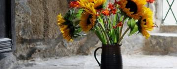 СЕНТЯБРЬ-2020: праздники и выходные