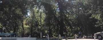 С началом учебного года детей на дорогах стало больше: на заметку участникам дорожного движения