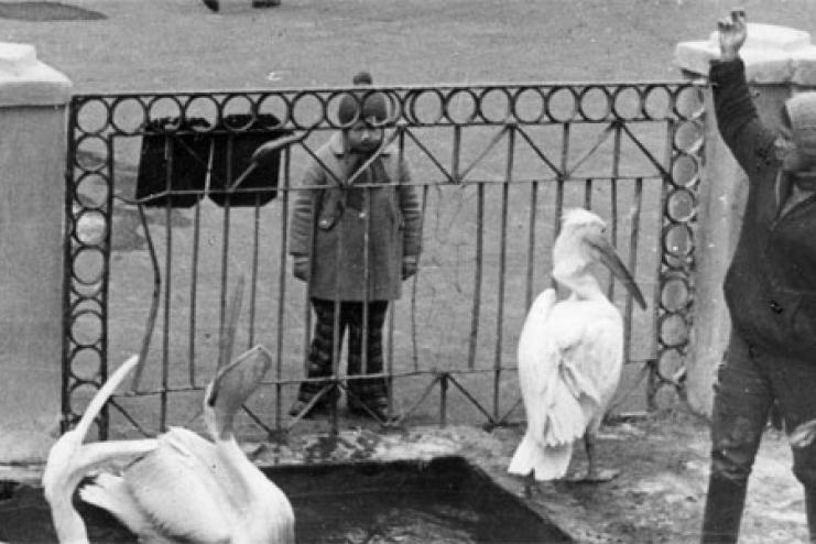 АФИША: Одесский зоопарк приглашает всех на День рождения