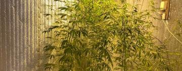 Граната, боеприпасы и наркотики: в Рени пограничники и правоохранителей провели серию обысков