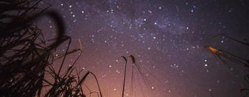 Теплые дни, холодные ночи: до выхода циклона пять дней