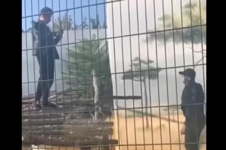 Парень из Одессы залез в клетку ко львам ради крутого селфи