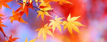 ГОРОСКОП НА НЕДЕЛЮ: 28 СЕНТЯБРЯ - 3 ОКТЯБРЯ