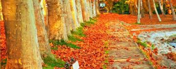 АСТРОПРОГНОЗ НА ОКТЯБРЬ ДЛЯ КАЖДОГО ЗНАКА ЗОДИАКА