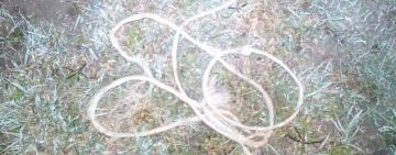 Два жителя Арцизского района связали, вывезли за село и ограбили своего земляка