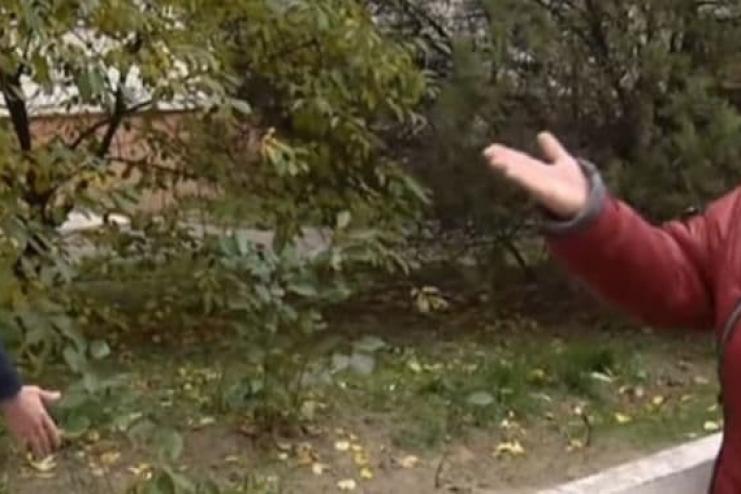 Родила под дверью больницы: в Черкассах роженицу с Covid-19 не пустили в роддом