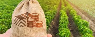 Компенсация на покупку земли фермерам в 2021: в Кабмине назвали сумму