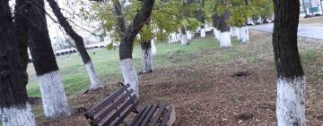 Вкрали у самих себе?