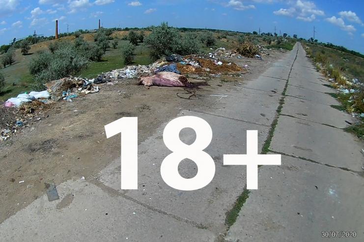 Свалка с подробностями. 18+