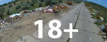 Свалка с подробностями. 18+