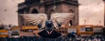 О МИЛОСТЫНЕ