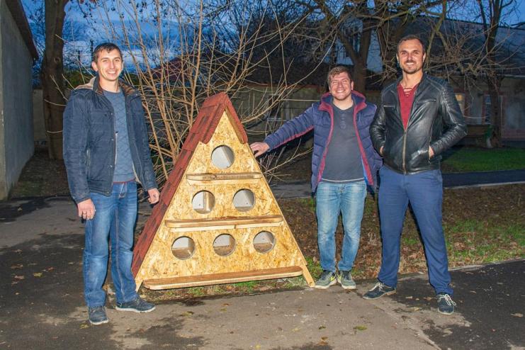Новострой для мурчащих: в Измаиле возведена первая кошачья многоэтажка 