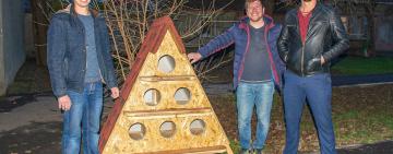 Новострой для мурчащих: в Измаиле возведена первая кошачья многоэтажка 