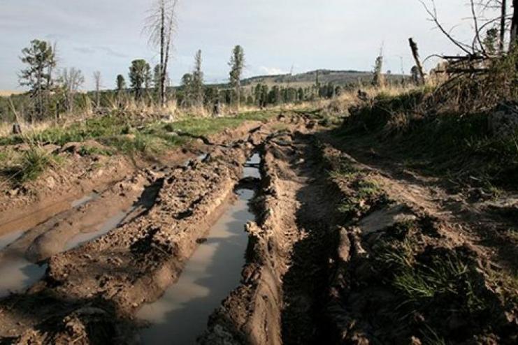 В Бородинской громаде из-за бездорожья  село отрезано от мира: без воды, хлеба и транспорта