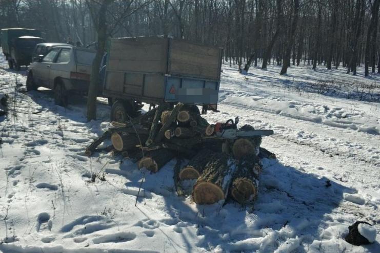 В Белгород-Днестровском районе пограничники задержали черных лесорубов