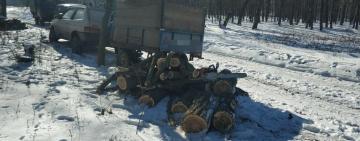 В Белгород-Днестровском районе пограничники задержали черных лесорубов