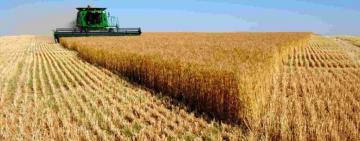 Иван Кюссе рассказал, по сколько гектаров получат рабочие и пенсионеры "Коммунара"