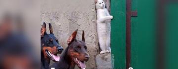 В Арцизе можно обсудить повышение тарифов на воду: главный вопрос "за кадром"