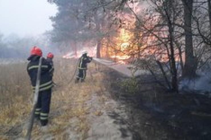 Рада повысила штрафы за выжигание сухой травы и торфяников