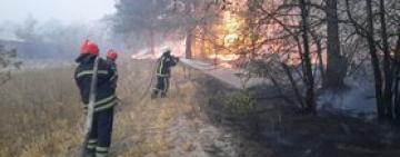 Рада повысила штрафы за выжигание сухой травы и торфяников