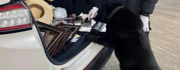 ОПАСНЫЕ НАХОДКИ В АМЕРИКАНСКИХ АВТО В ОДЕССКОМ ПОРТУ