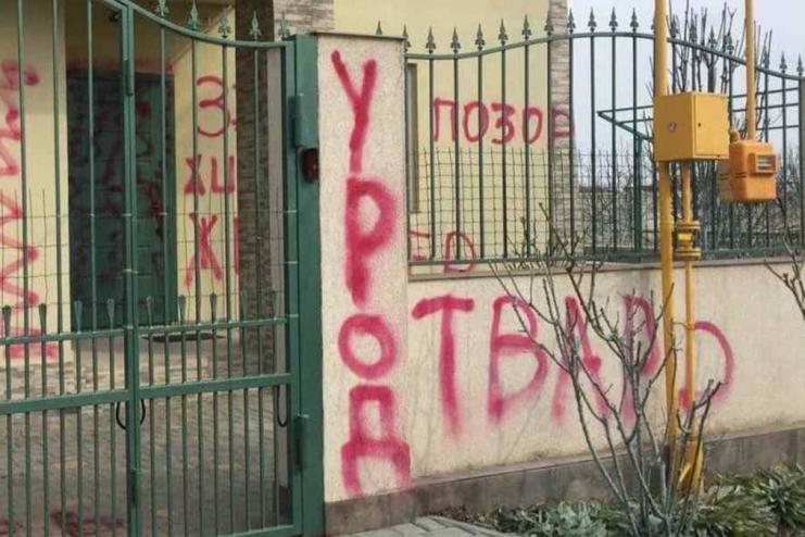 Ответят все: в Одесской области мужчина задушил кота, зоозащитники ему расписали дом 