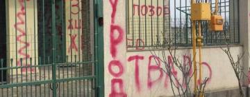 Ответят все: в Одесской области мужчина задушил кота, зоозащитники ему расписали дом 