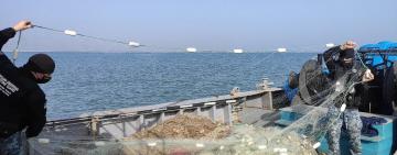 Прикордонники затримали на Дунаї двох громадян України, які незаконно виловлювали рибу