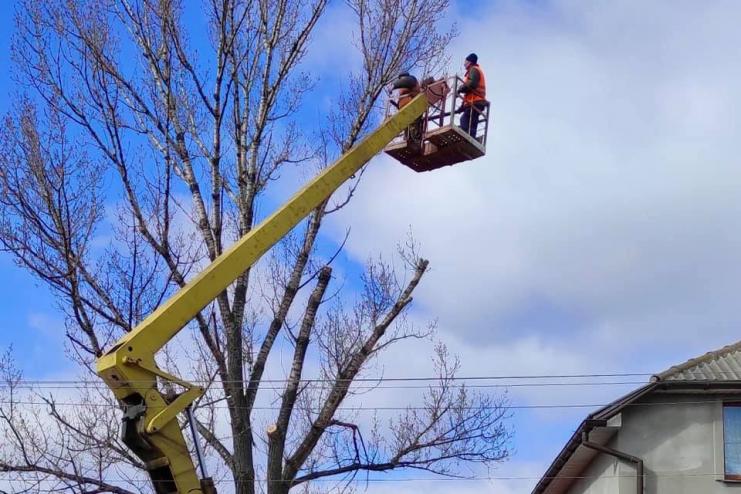 В АККЕРМАНЕ КОММУНАЛЬЩИКИ ПРОВОДЯТ САНИТАРНУЮ ОБРЕЗКУ ДЕРЕВЬЕВ