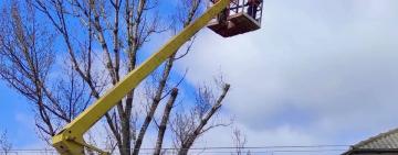 В АККЕРМАНЕ КОММУНАЛЬЩИКИ ПРОВОДЯТ САНИТАРНУЮ ОБРЕЗКУ ДЕРЕВЬЕВ