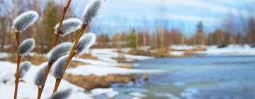 20 березня - День весняного рівнодення 