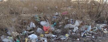 САНПОРЯДОК В ГРОМАДЕ: В БОРОДИНО СОЗДАЛИ СПЕЦИАЛЬНУЮ ИНСПЕКЦИЮ